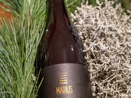 Casa vacanza nei pressi dell’Alpe di Siusi Casa vacanza nei pressi dell’Alpe di Siusi