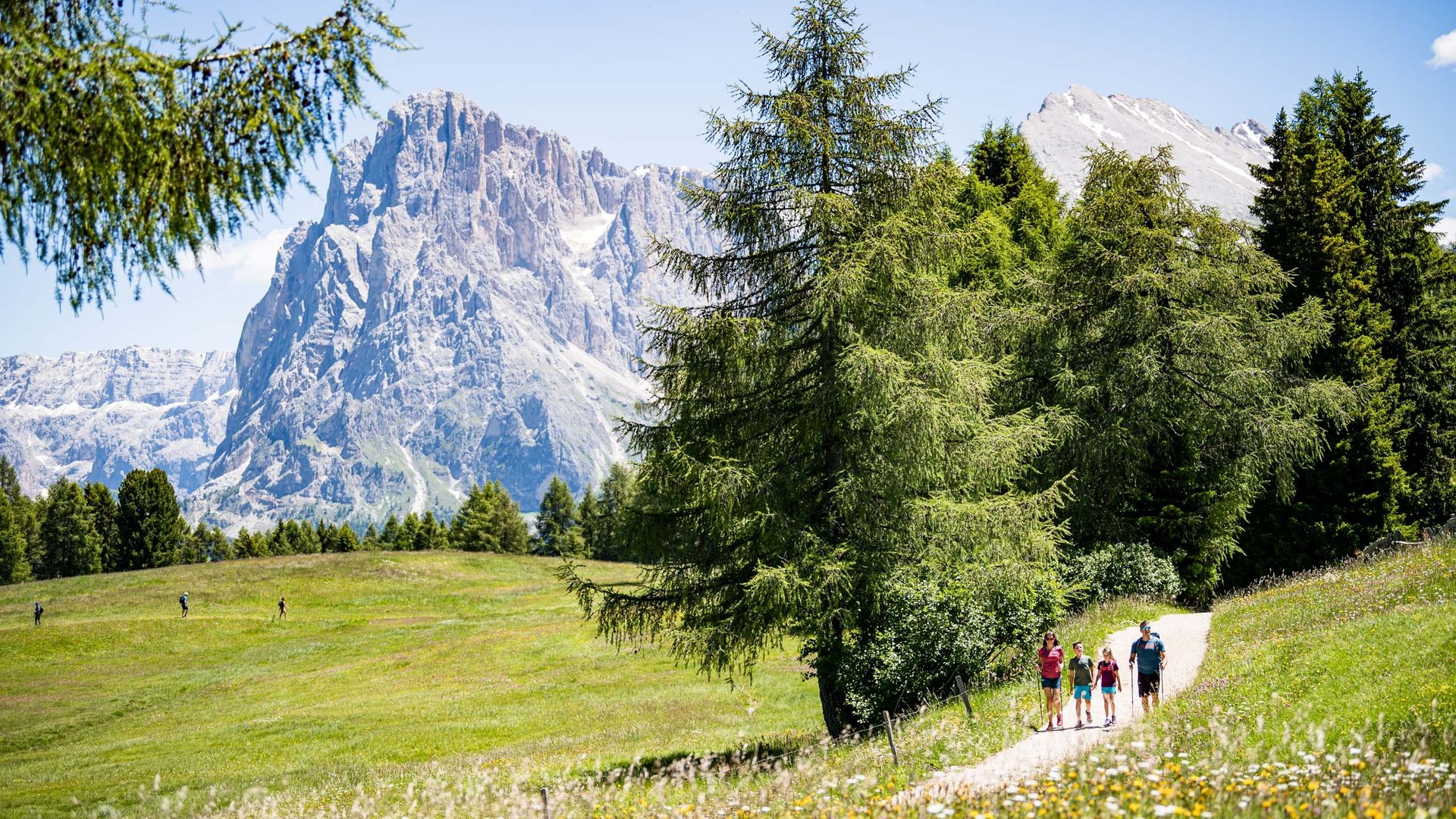 Holiday accommodation in Seis where dogs are allowed Holiday accommodation in Seis where dogs are allowed