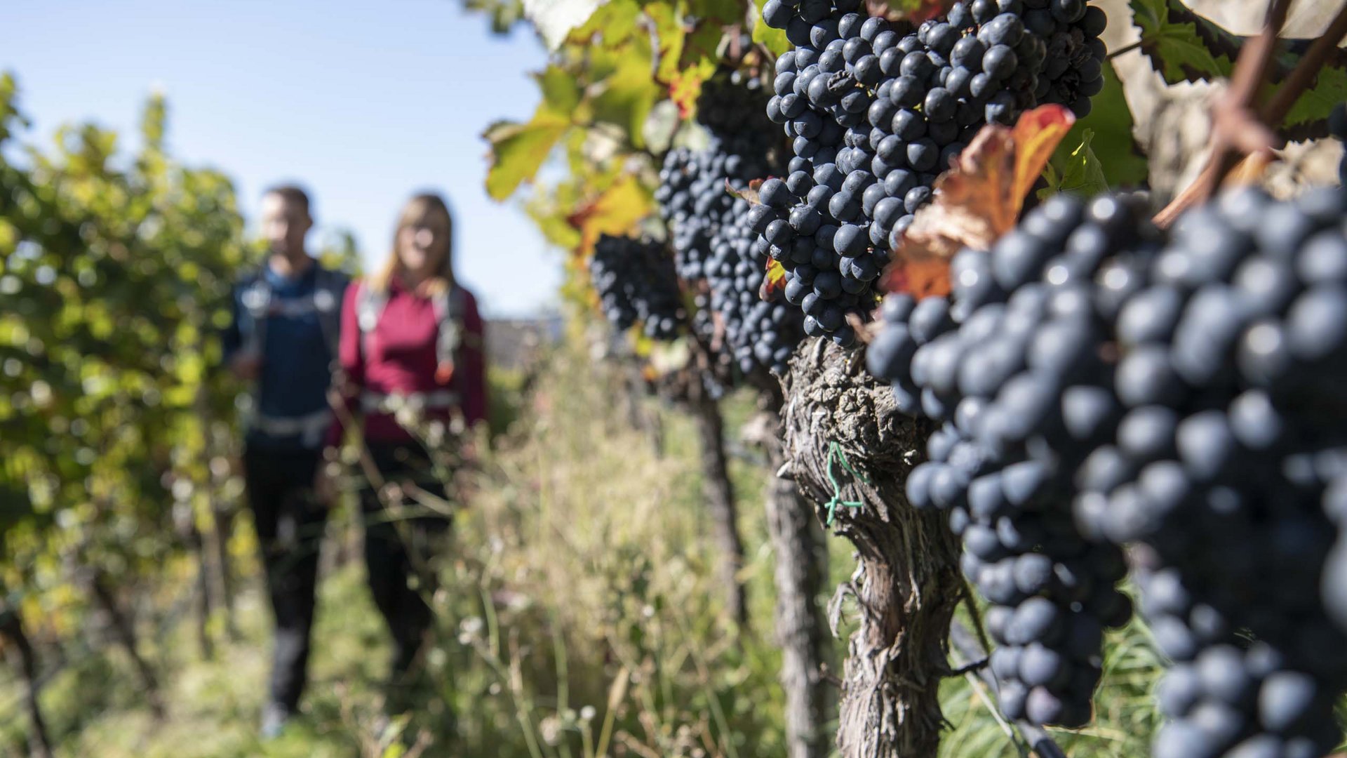 Casa vacanza nei pressi dell’Alpe di Siusi Casa vacanza nei pressi dell’Alpe di Siusi