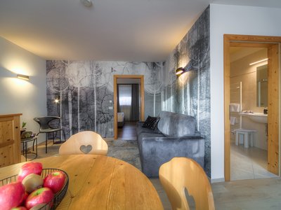 Holiday accommodation in Seis where dogs are allowed Holiday accommodation in Seis where dogs are allowed